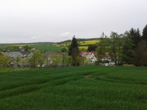 Wingertsberg, vom Feld hinter der Kirche, 2014